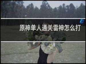 原神单人通关雷神怎么打