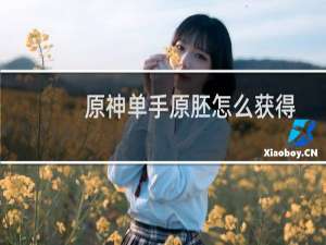 原神单手原胚怎么获得
