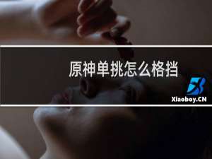 原神单挑怎么格挡