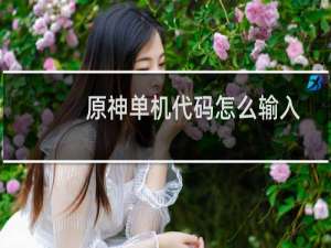 原神单机代码怎么输入