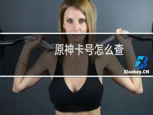 原神卡号怎么查