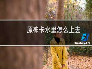 原神卡水里怎么上去