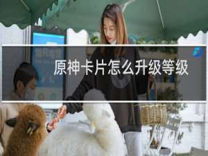 原神卡片怎么升级等级