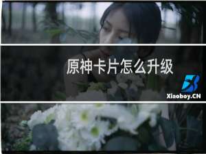原神卡片怎么升级