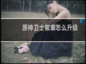 原神卫士徽章怎么升级
