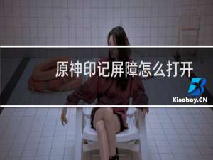 原神印记屏障怎么打开