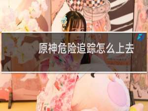 原神危险追踪怎么上去