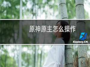 原神原主怎么操作