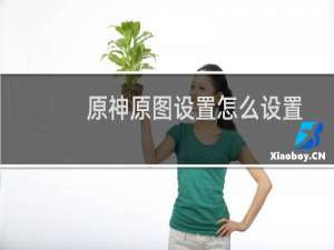 原神原图设置怎么设置