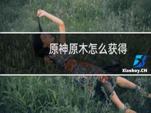 原神原木怎么获得