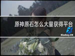 原神原石怎么大量获得平台