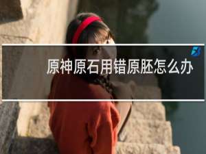 原神原石用错原胚怎么办