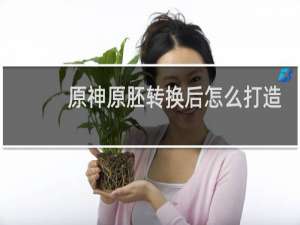 原神原胚转换后怎么打造