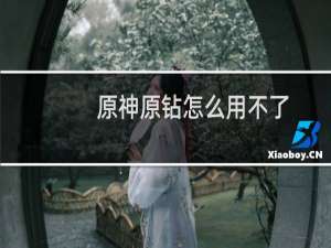 原神原钻怎么用不了