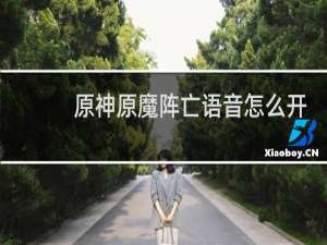 原神原魔阵亡语音怎么开