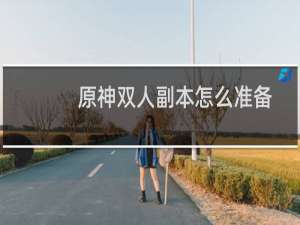原神双人副本怎么准备