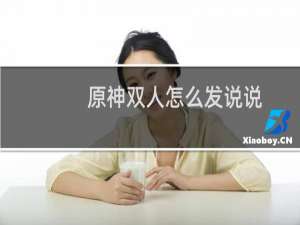原神双人怎么发说说