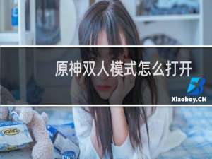 原神双人模式怎么打开