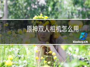 原神双人相机怎么用