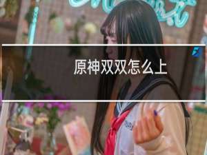 原神双双怎么上