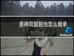 原神双复刻池怎么继承