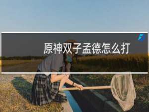 原神双子孟德怎么打