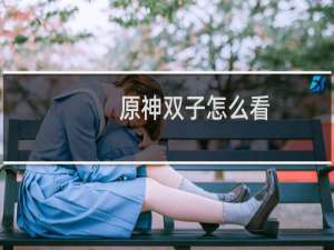 原神双子怎么看