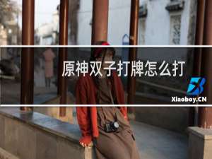 原神双子打牌怎么打
