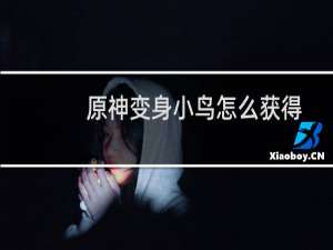 原神变身小鸟怎么获得
