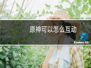 原神可以怎么互动
