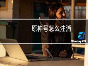 原神号怎么注消