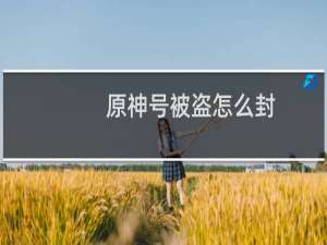 原神号被盗怎么封