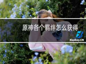 原神各个羁绊怎么获得