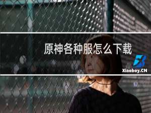 原神各种服怎么下载