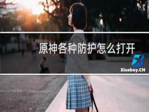 原神各种防护怎么打开