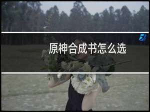 原神合成书怎么选