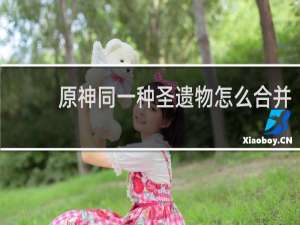 原神同一种圣遗物怎么合并