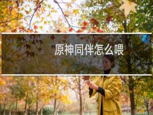 原神同伴怎么喂