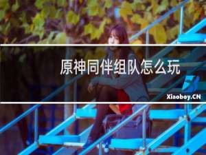 原神同伴组队怎么玩