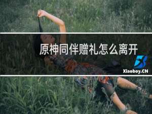 原神同伴赠礼怎么离开