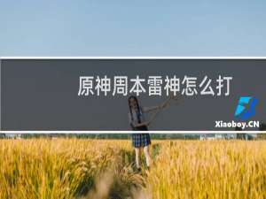 原神周本雷神怎么打