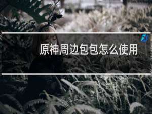 原神周边包包怎么使用
