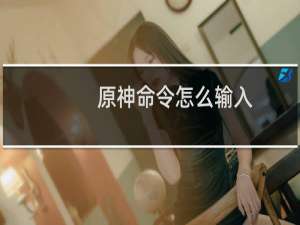 原神命令怎么输入