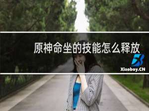 原神命坐的技能怎么释放