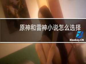 原神和雷神小说怎么选择