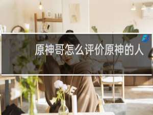 原神哥怎么评价原神的人
