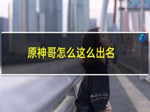 原神哥怎么这么出名