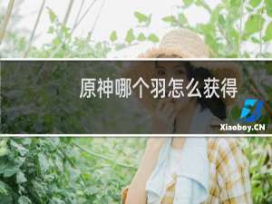 原神哪个羽怎么获得