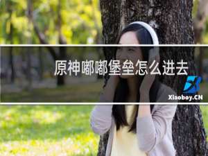 原神嘟嘟堡垒怎么进去