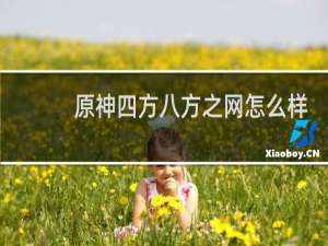 原神四方八方之网怎么样